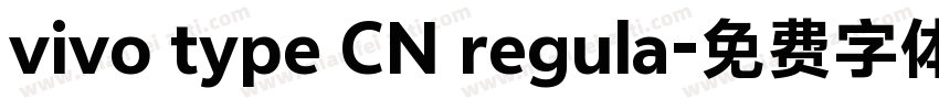 vivo type CN regula字体转换